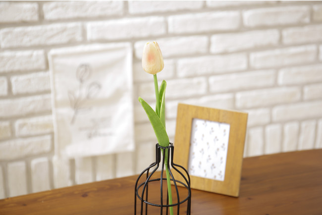 3COINS�i�X���[�R�C���Y�j2023�N���܃J�����_�[